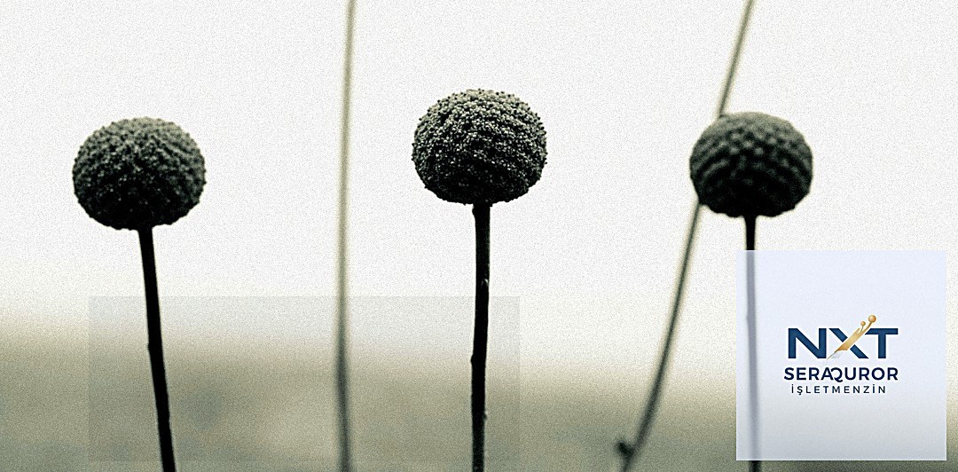 Danışmanlık Sürecimiz: Akademiden Uygulamaya Adım Adım Rehber